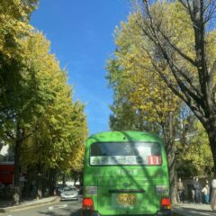 도봉에서 운전연수 받은 솔직 후기