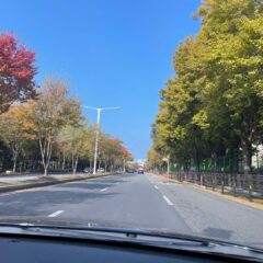 아이 학교 보내는 길 편해졌어요
