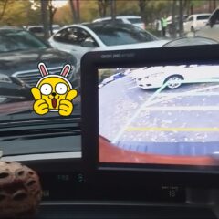 강남운전연수 끝나고 바로 출퇴근 시작