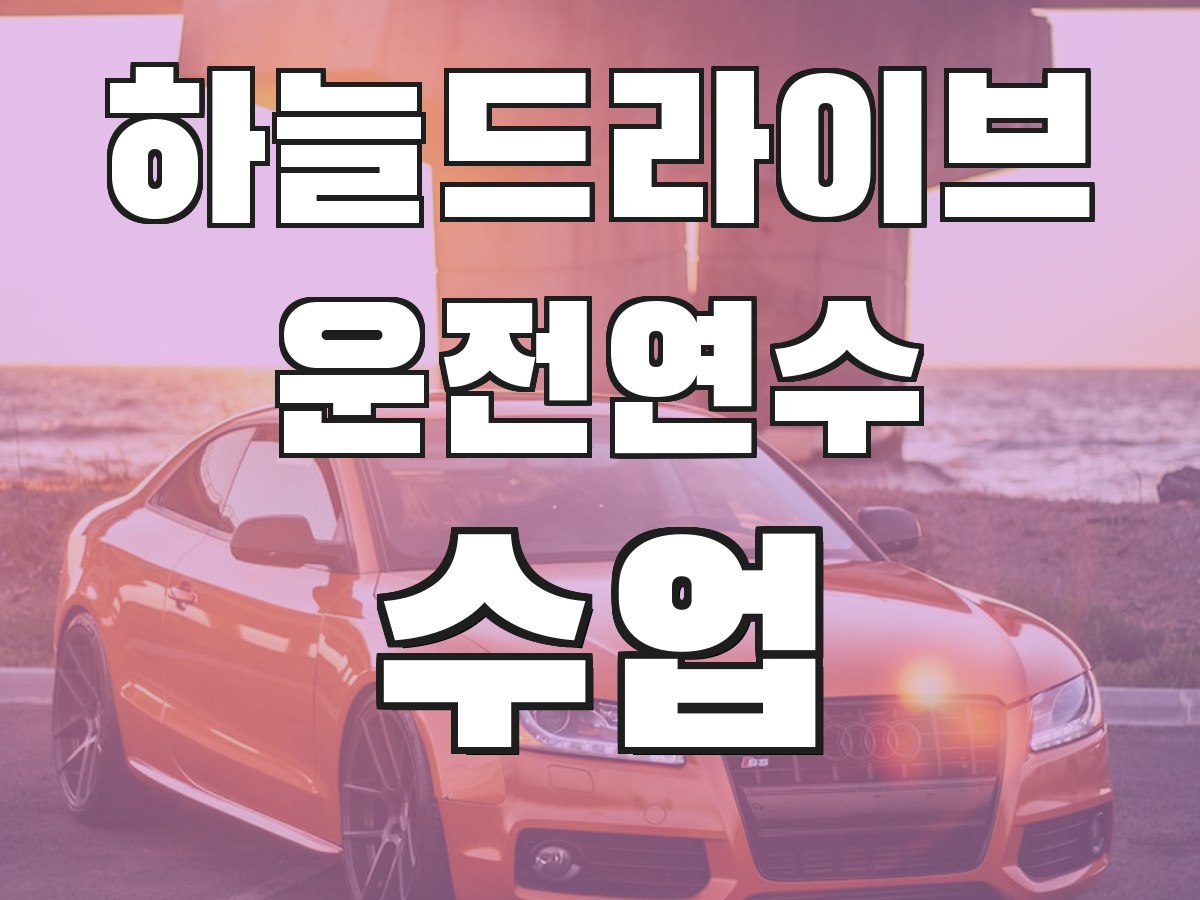 하늘드라이브 운전연수 수업 - 맞춤 연수 프로그램