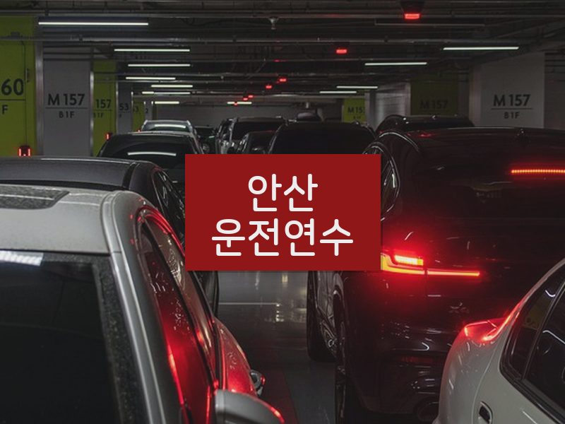 안산운전연수 후기
