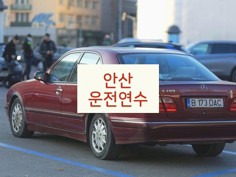 안산운전연수 후기