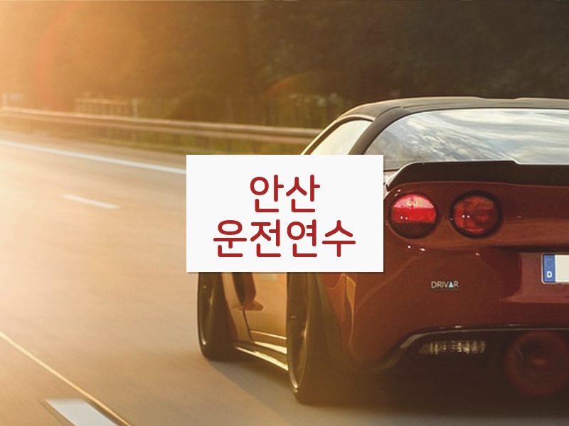 안산운전연수 후기