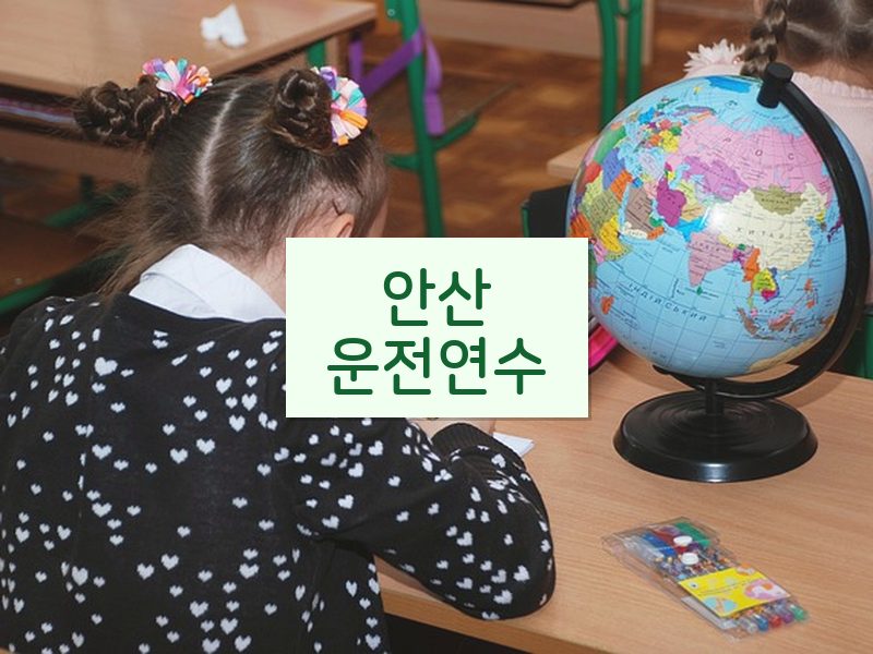 안산운전연수 후기