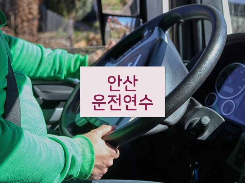 안산운전연수 후기