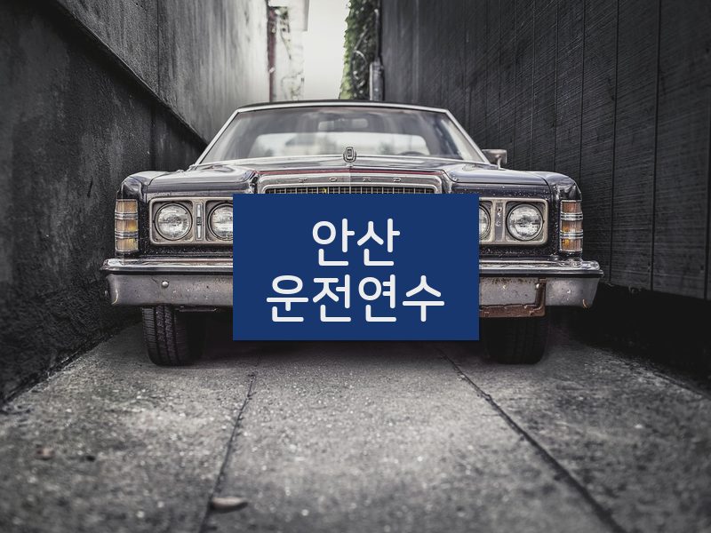 안산운전연수 후기