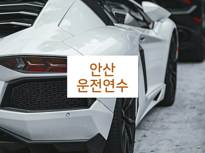 안산운전연수 후기